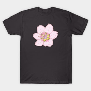 Sakura Cherry Blossom Flower Vector Design T-Shirt